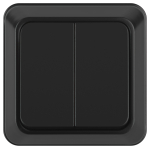 2-104-05  Выключатель Intro Quadro 2-104-05 двойной 10А-250В IP20 ОУ антрацит